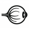 Termin-Icon